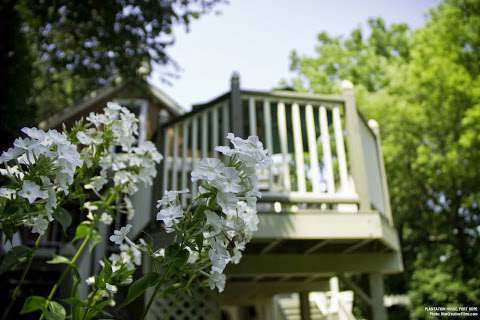 Plantation House Bed & Breakfast